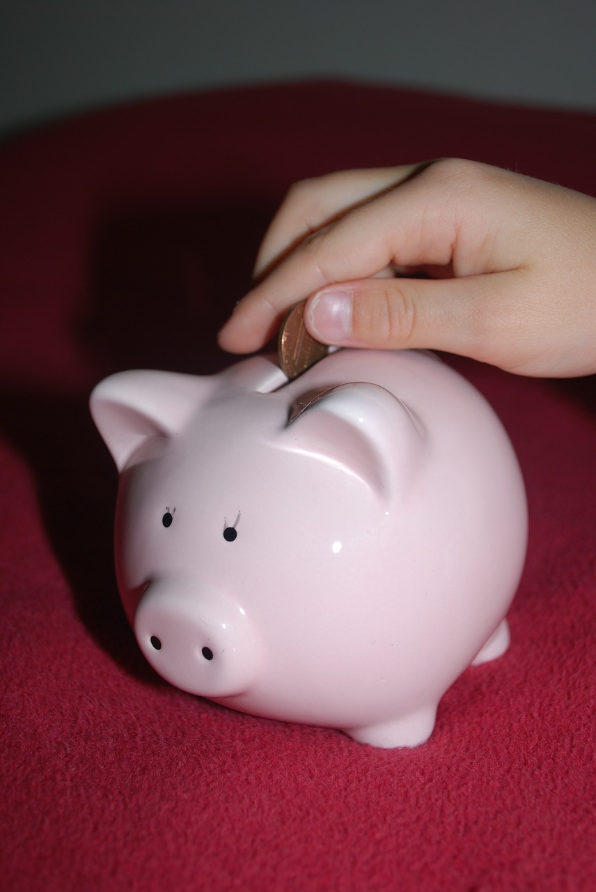 piggy bank savings pig free photo