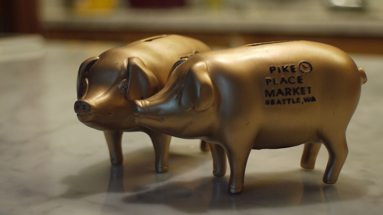 piggy bank seattle pig free photo