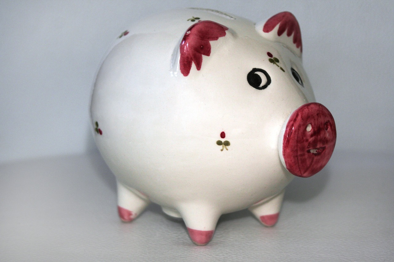 piggy bank money save free photo