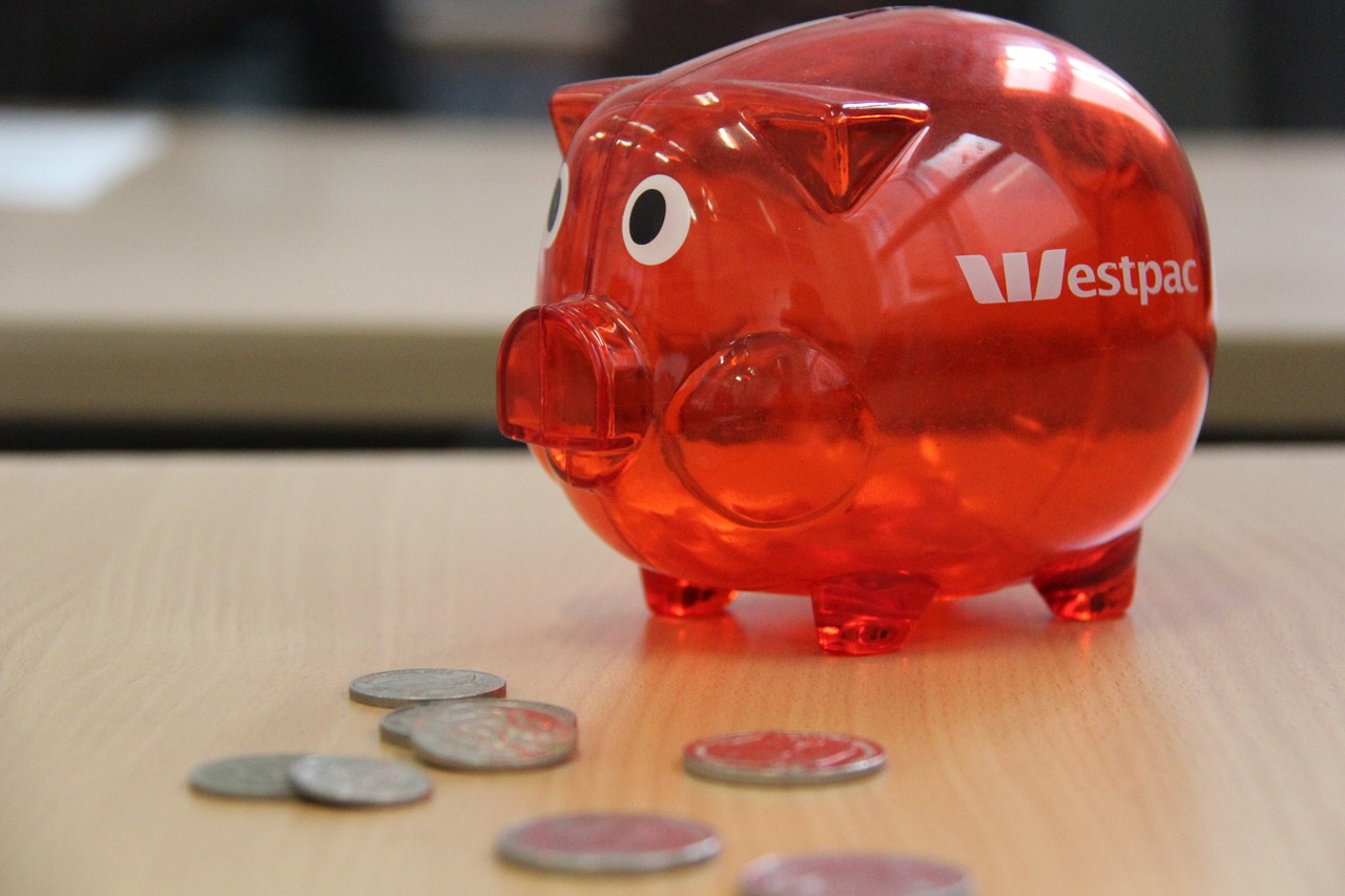 piggybank piggy coin free photo
