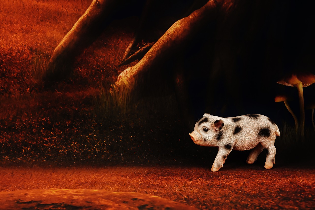 piglet figure forest free photo