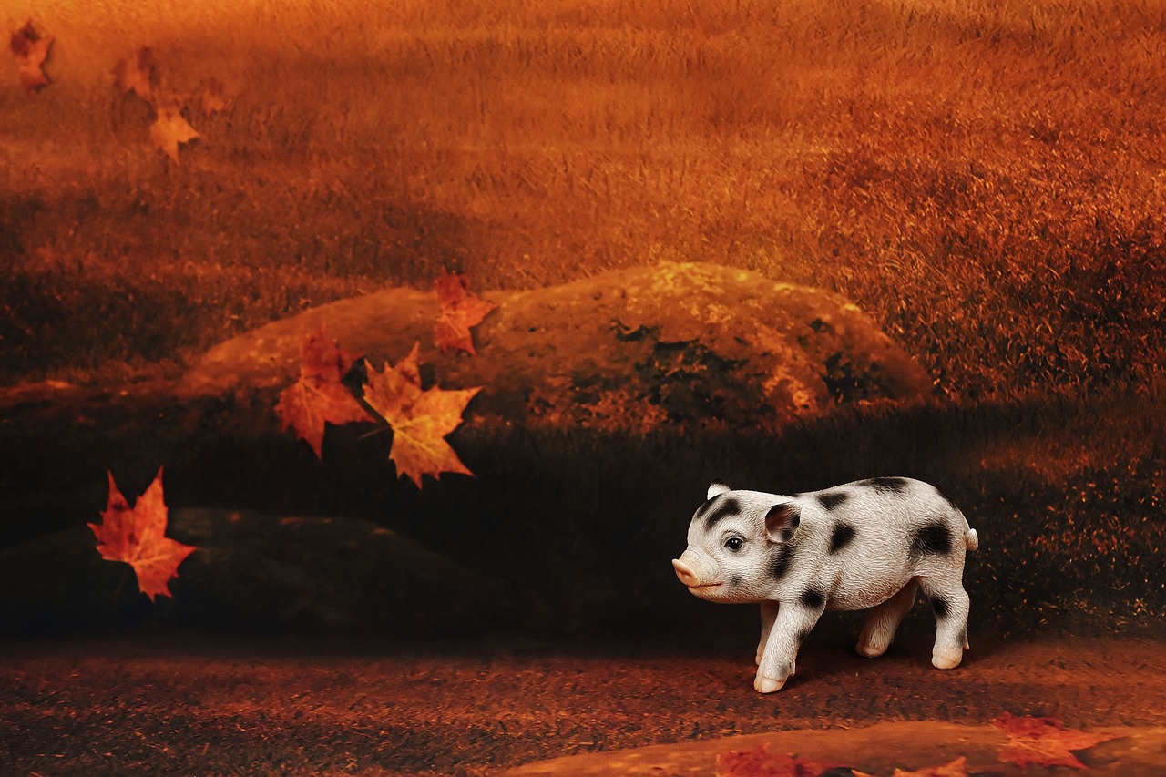 piglet forest sweet free photo