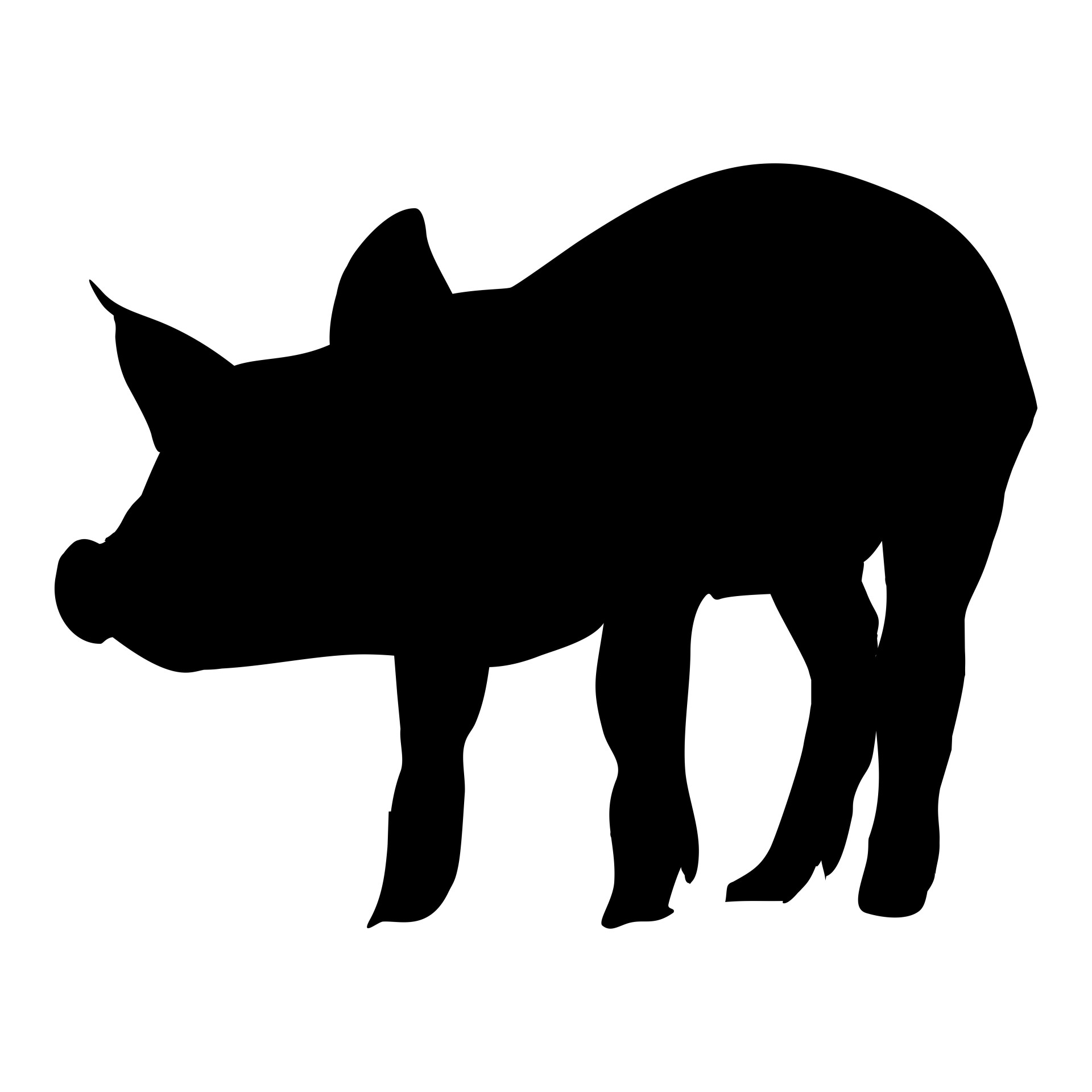 silhouette pig animals free photo