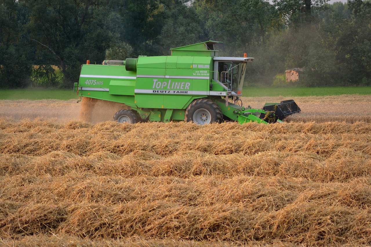 pikdorser straw harvest free photo