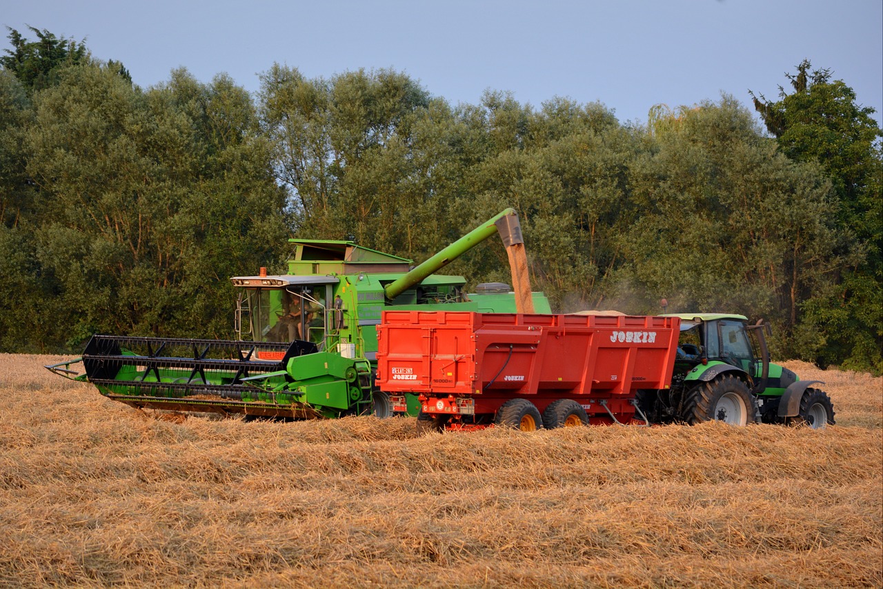 pikdorser straw harvest free photo