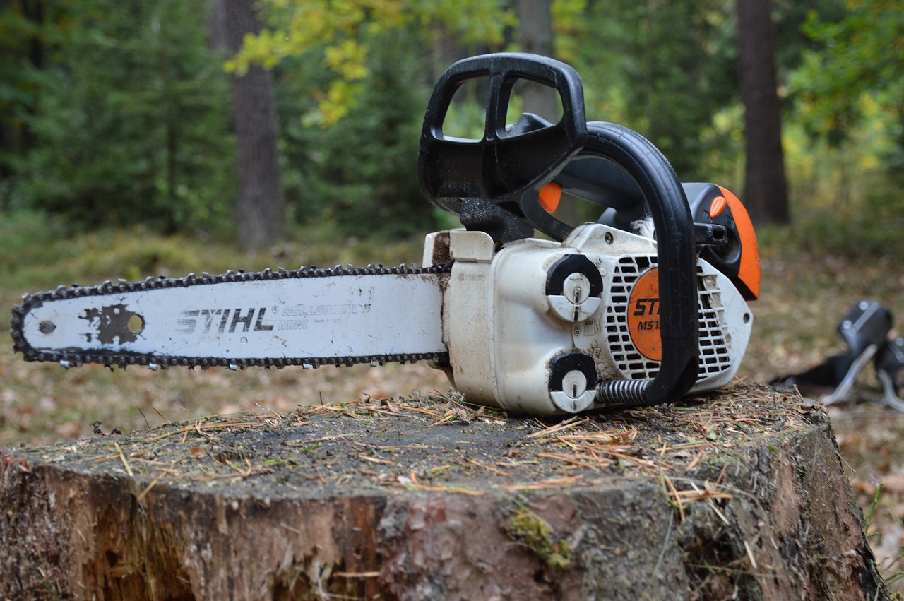 pila small sawmill chainsaw free photo