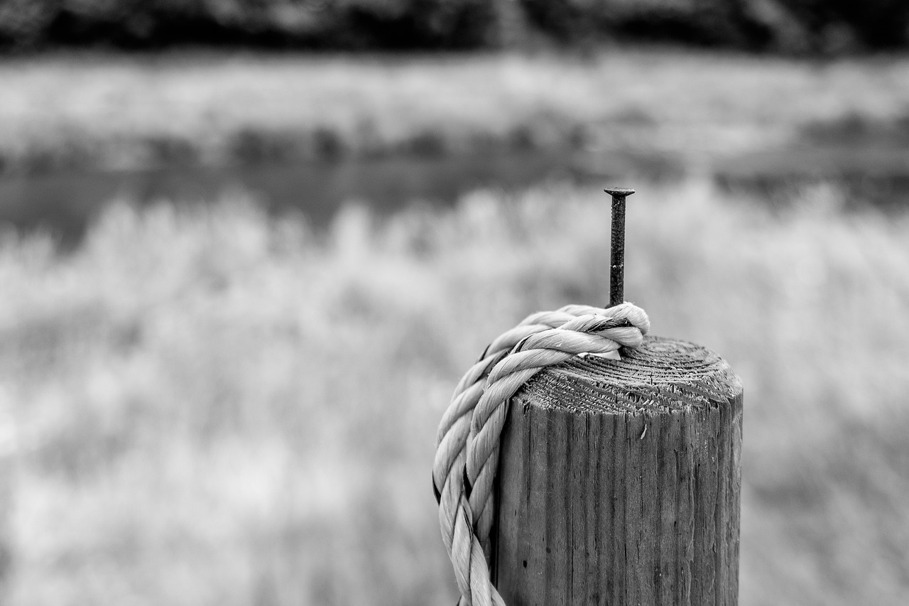 pile rope post free photo