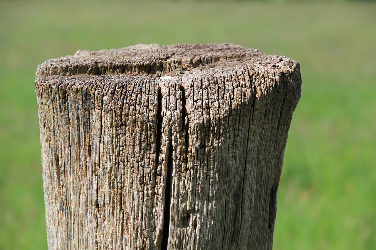 pile pasture meadow free photo