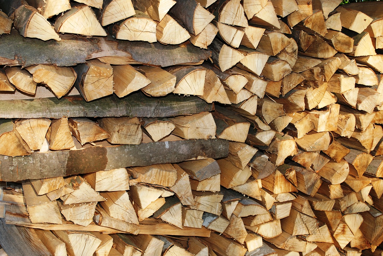 pile firewood lumber free photo