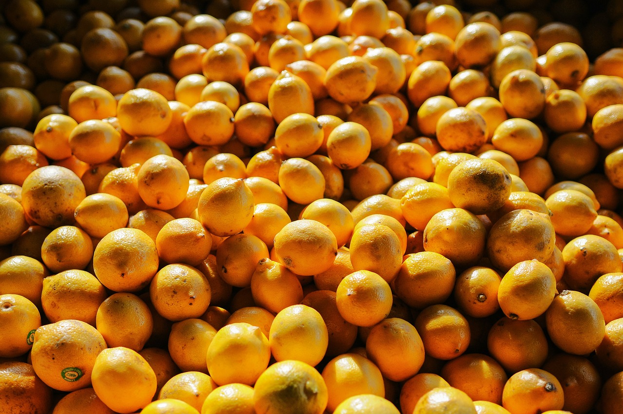 pile fruit oranges free photo