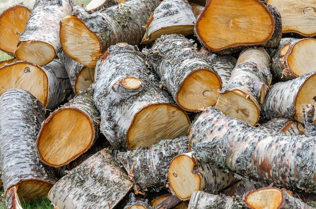 pile firewood log free photo