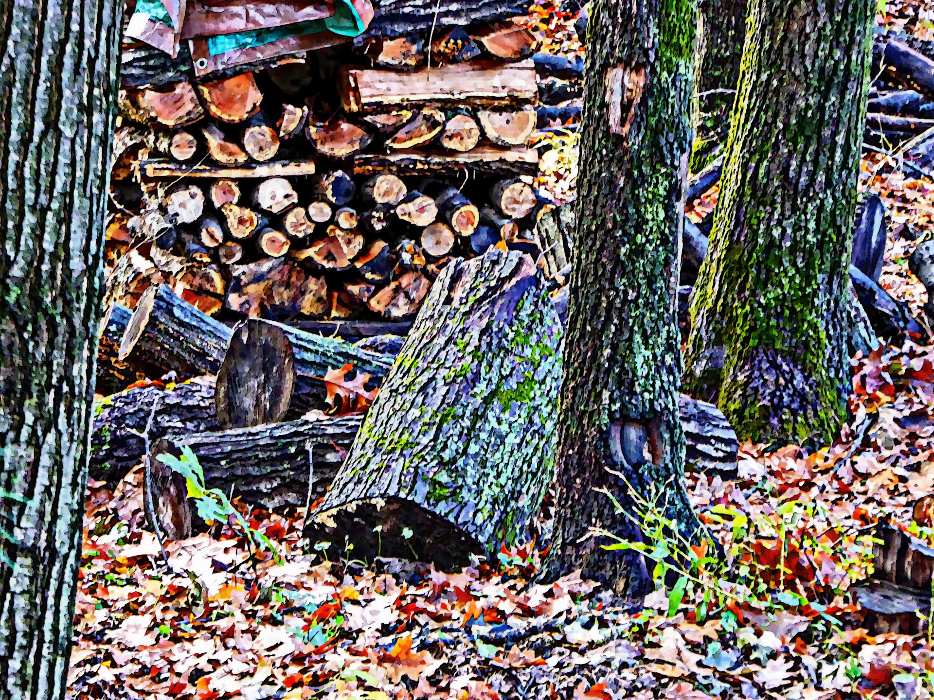 log logs artistic free photo