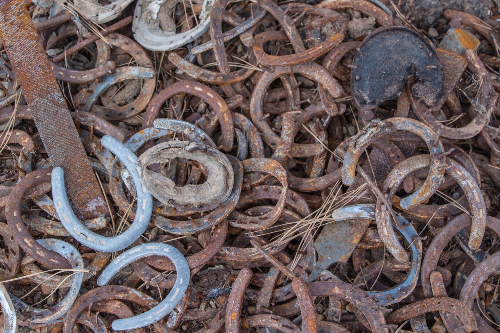 horseshoes metal pile free photo