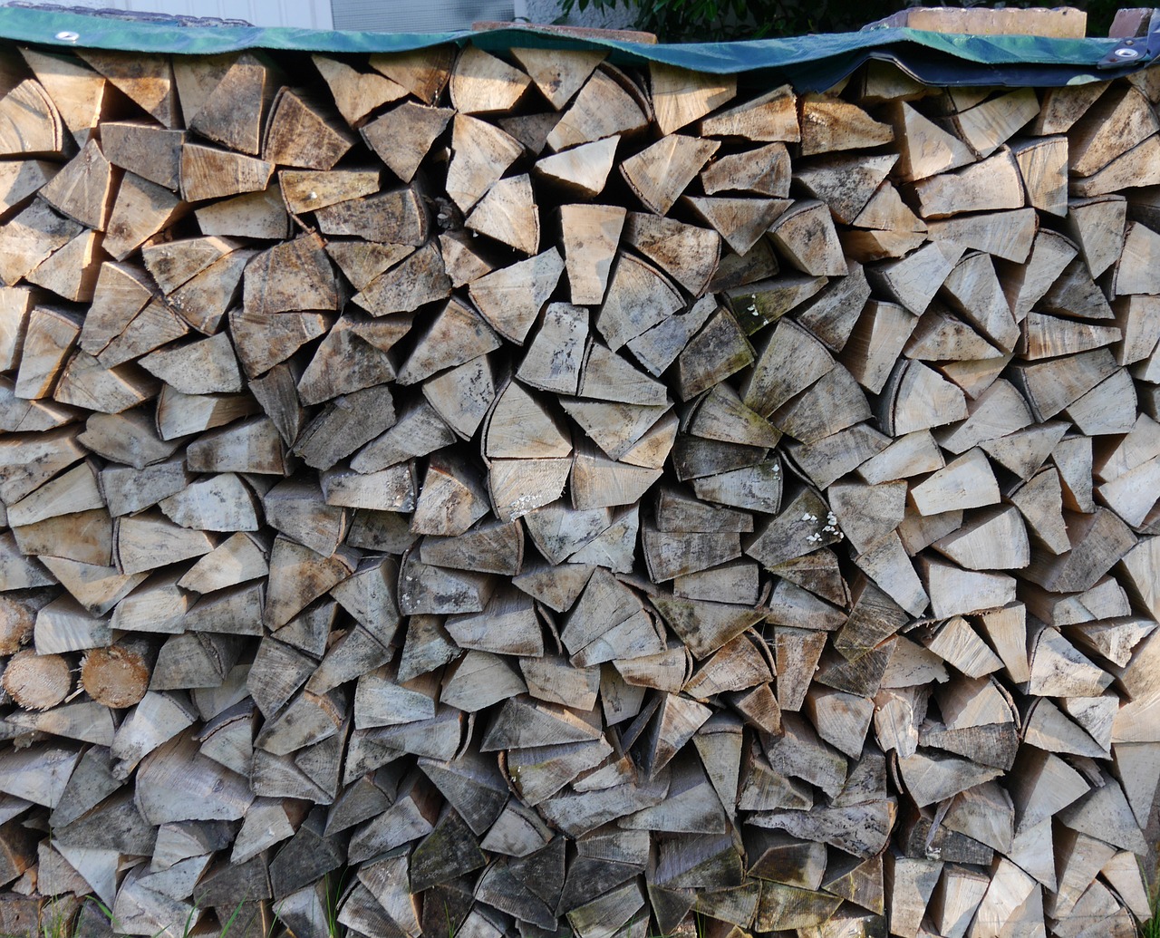 pile of wood wood free pictures free photo