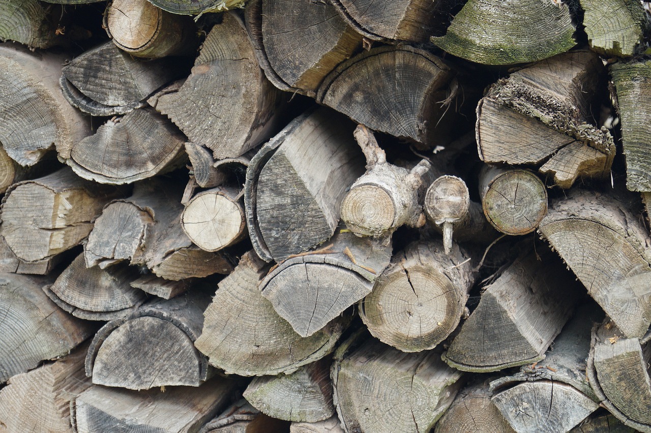 pile of wood wood log free photo