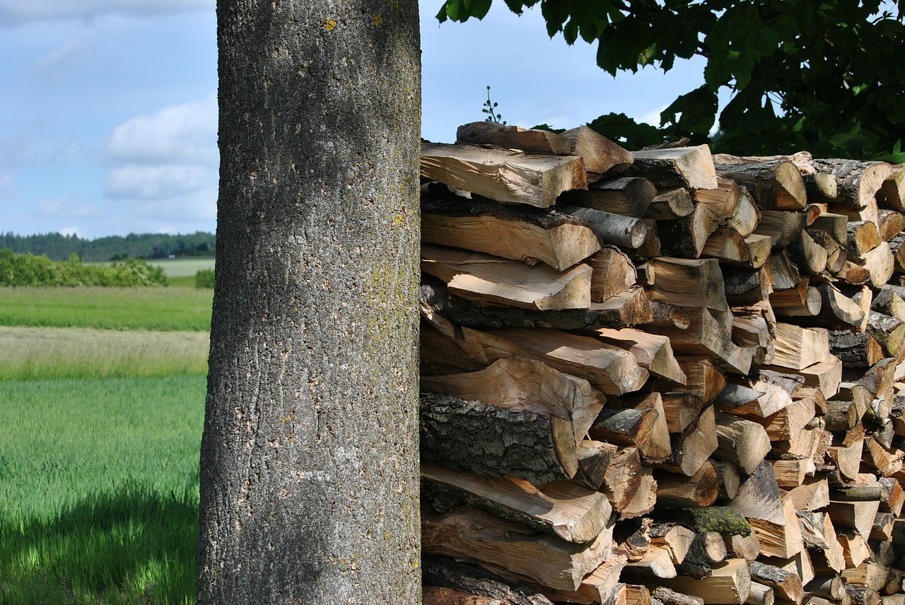 pile of wood wood storage free photo