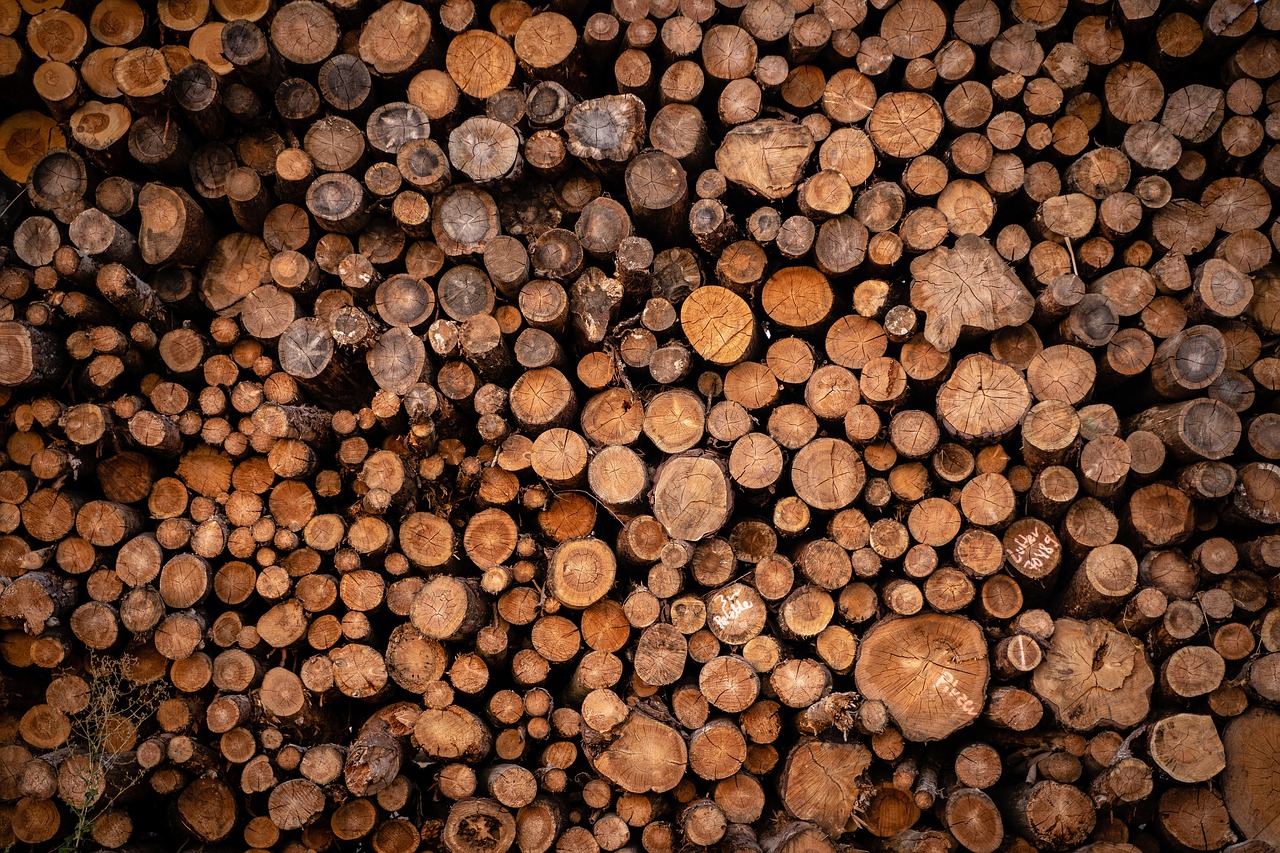 pile of wood  holzstapel  tree trunks free photo