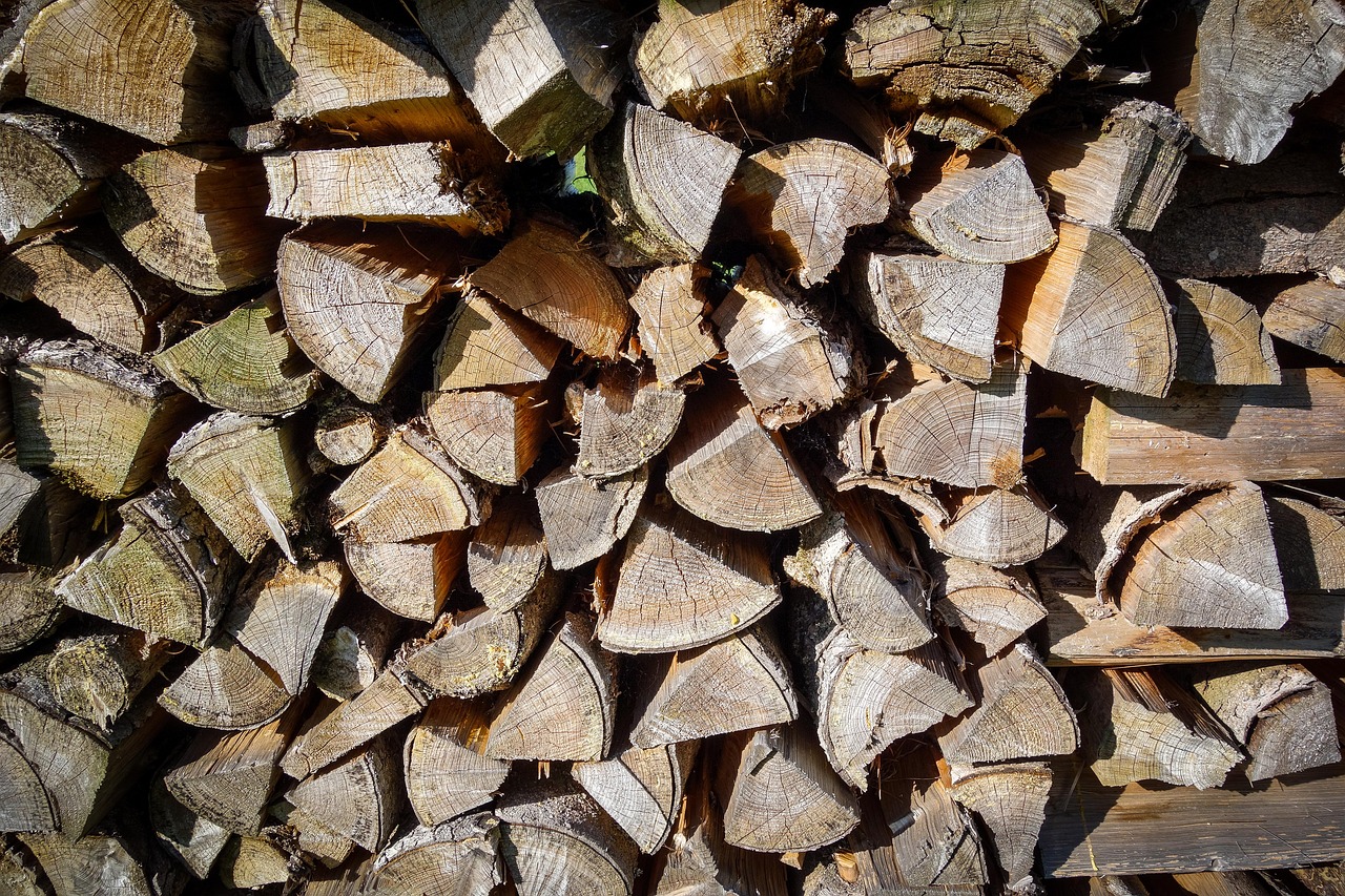 pile of wood  meter beating  firewood free photo