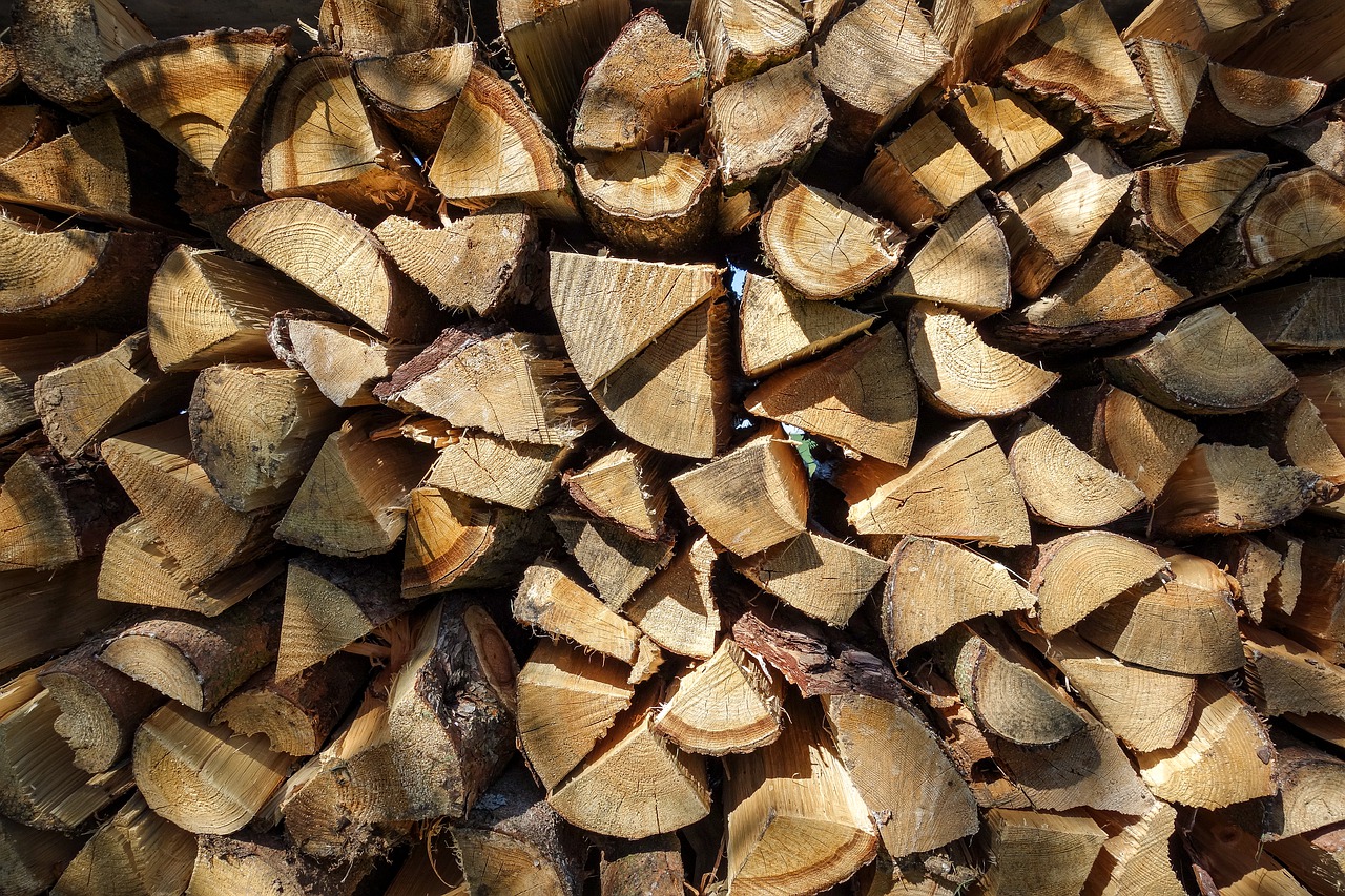 pile of wood  firewood  woods free photo