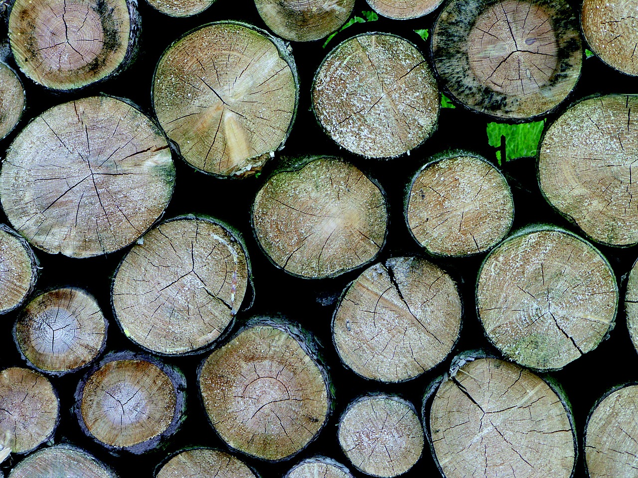 pile of wood wood stack free photo
