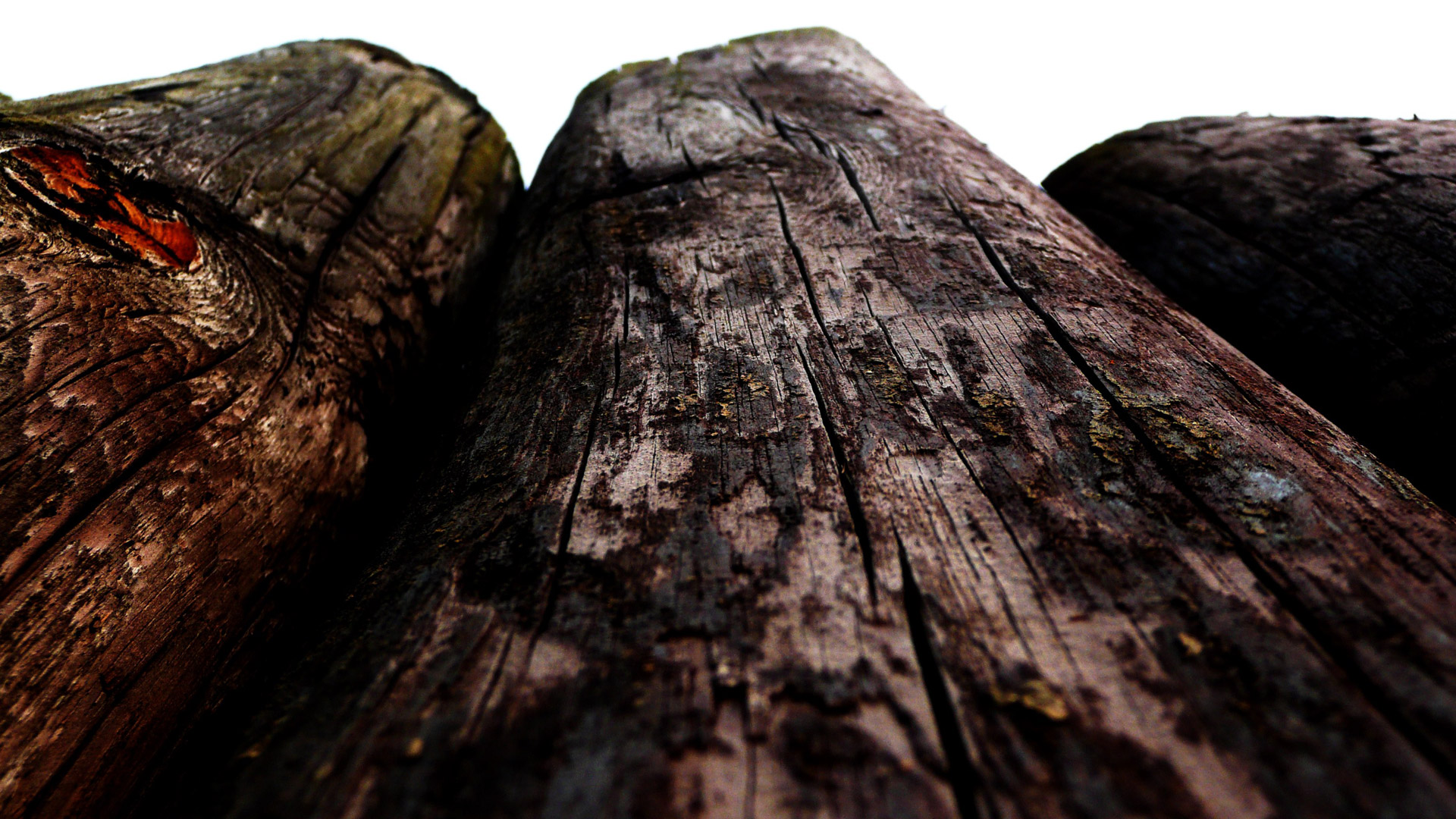 wood poles background free photo