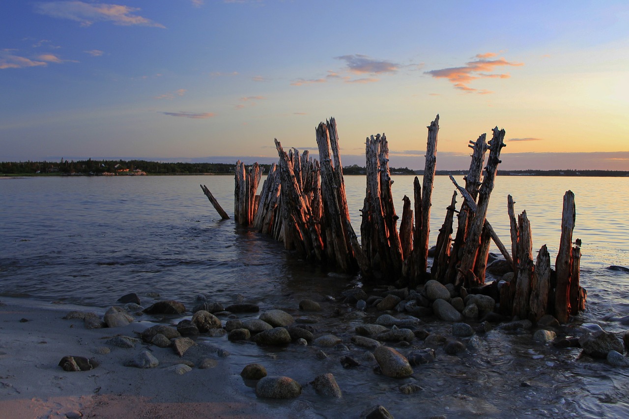 pilings dock water free photo