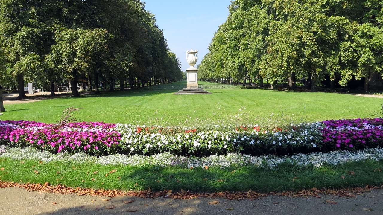 pillnitz dresden castle park free photo