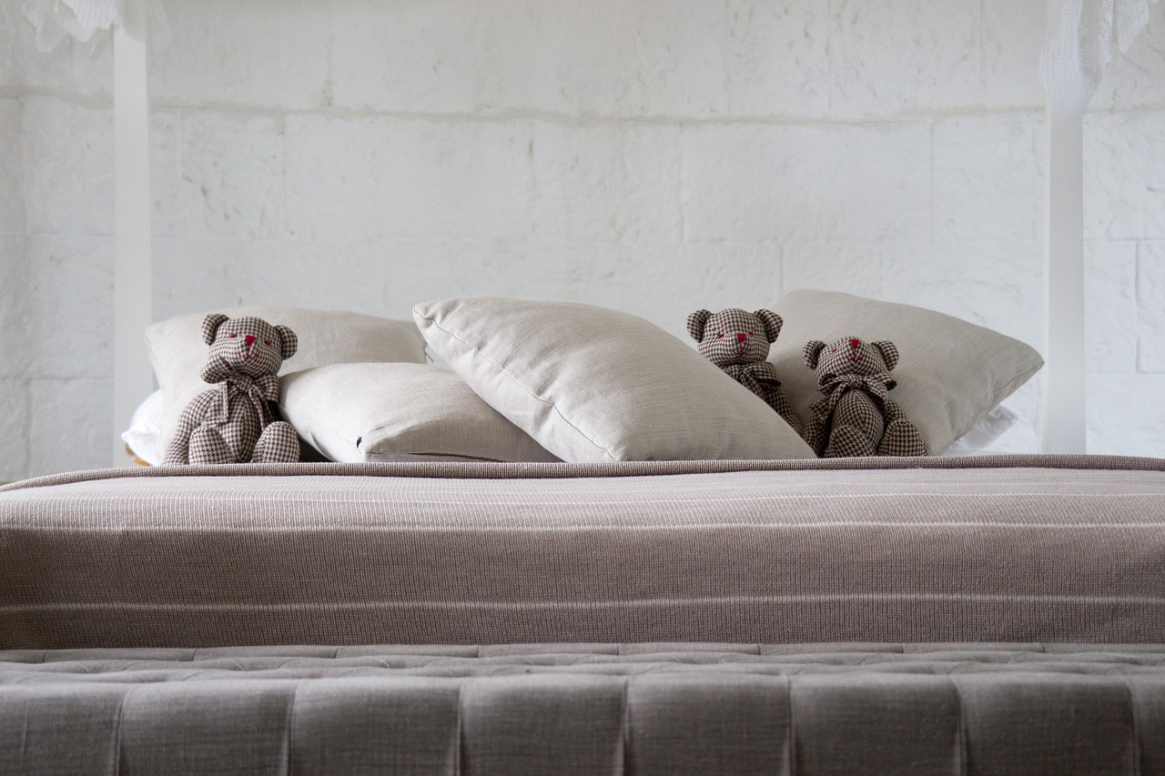 pillow bear teddy bear free photo
