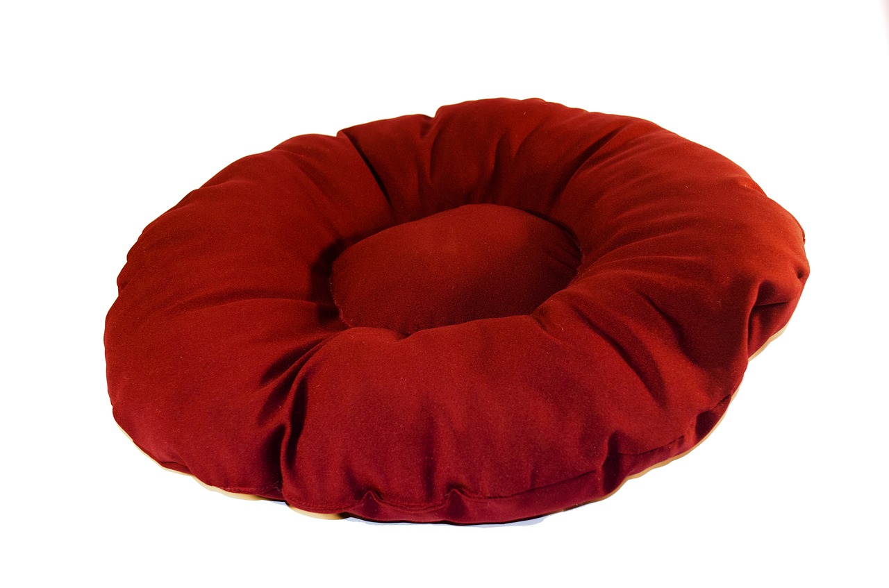 pillow material red free photo