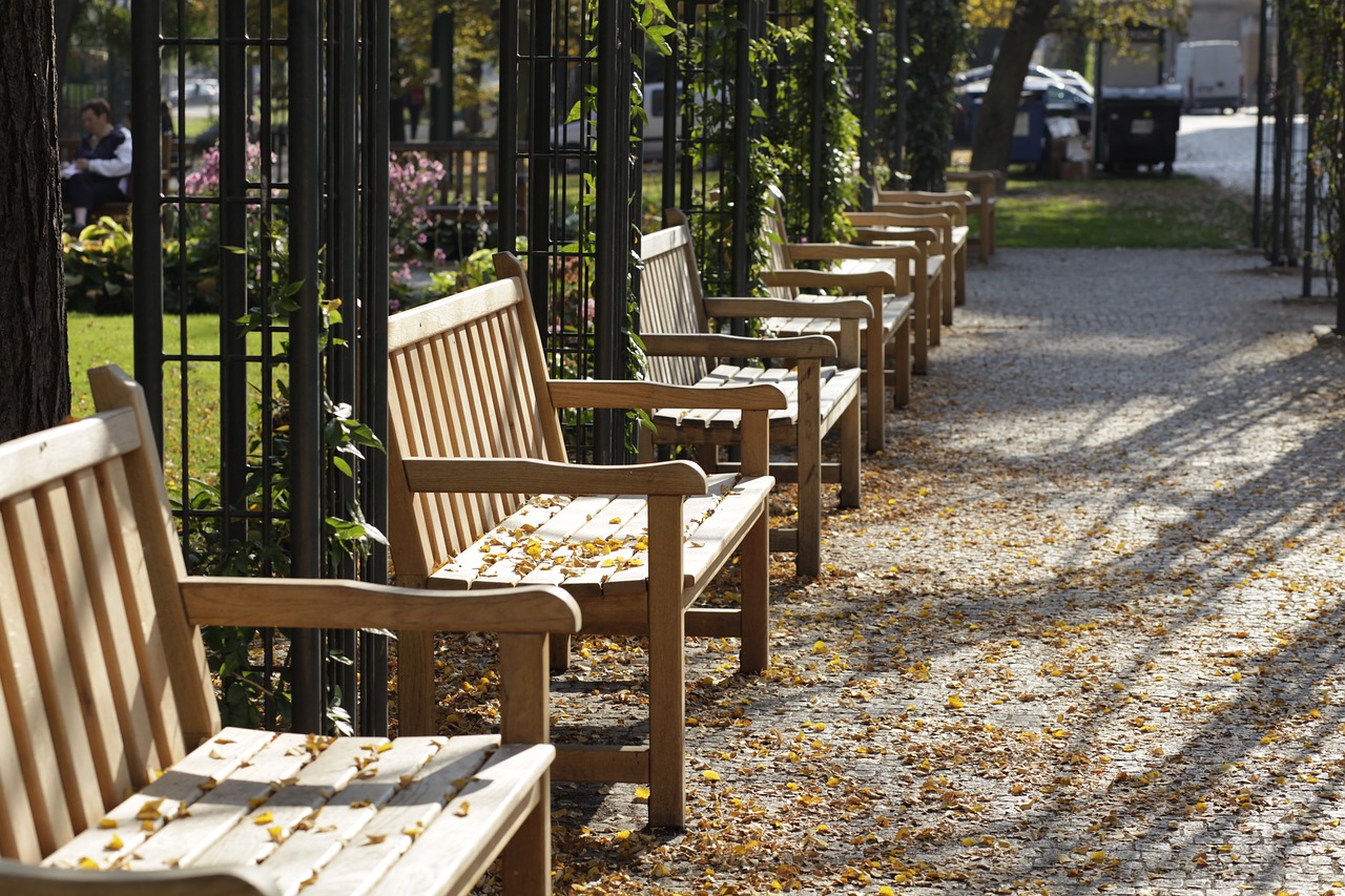 pilsen  park  the bench rest free photo