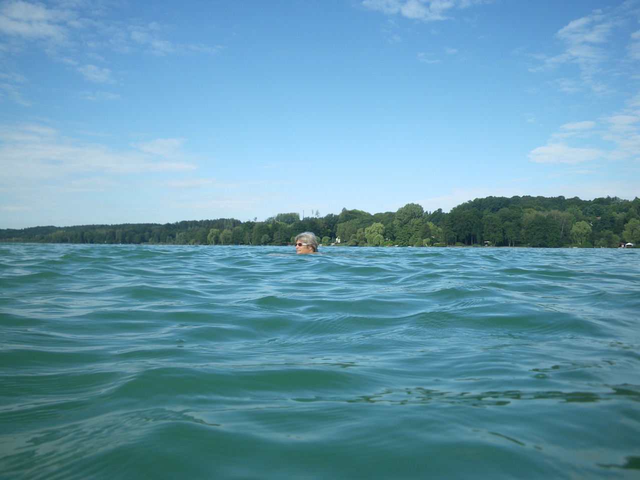 pilsensee swim water free photo