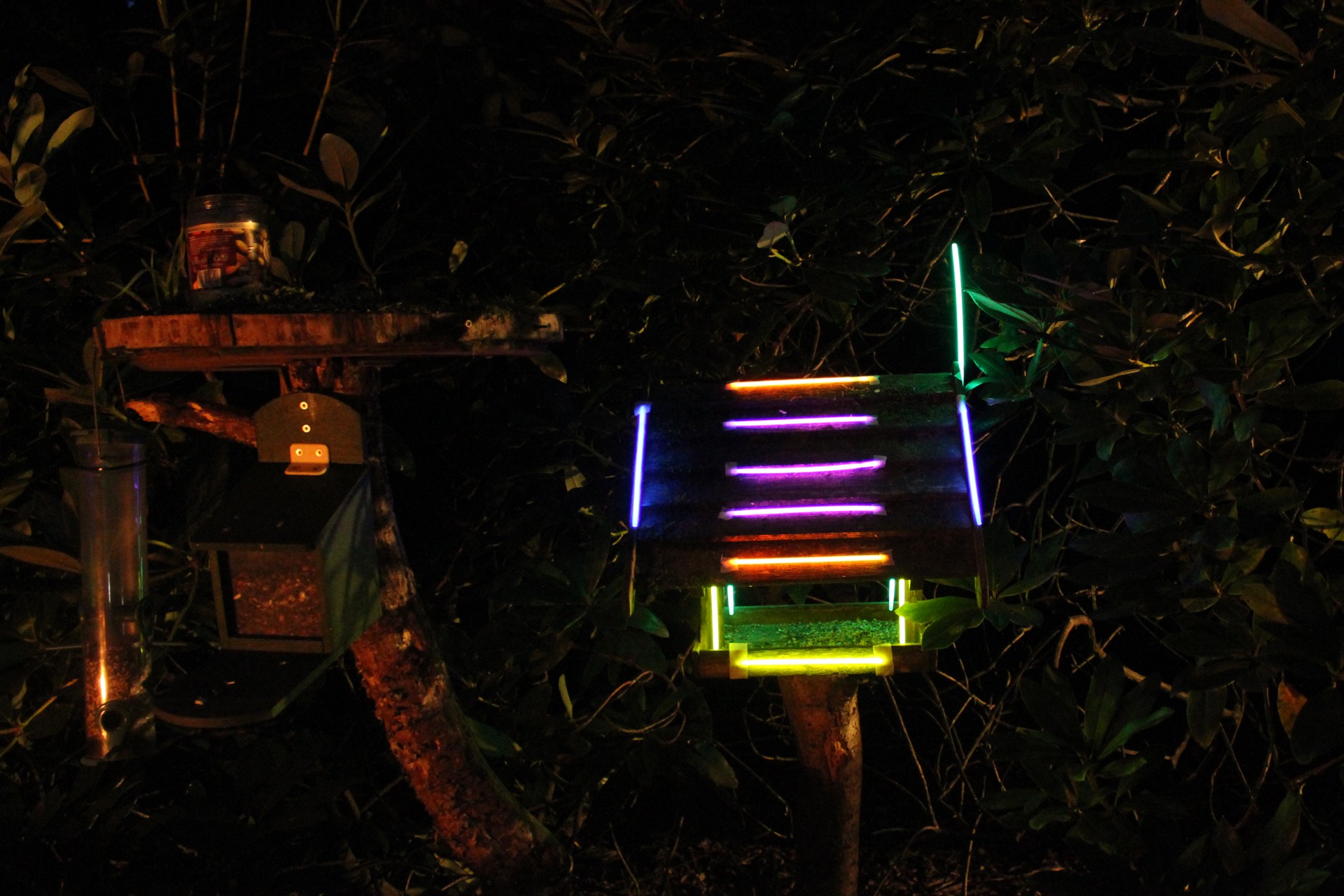 birdhouse pimped glow sticks free photo