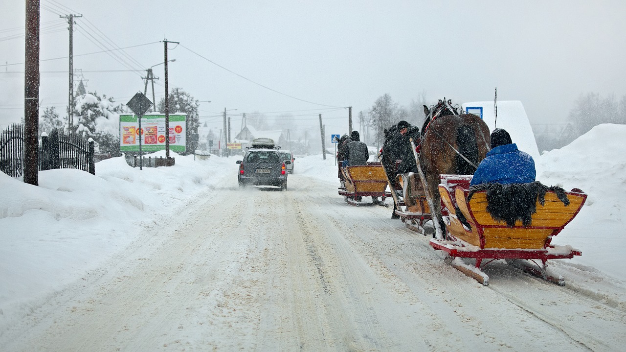 pimp my sleigh  winter  way free photo