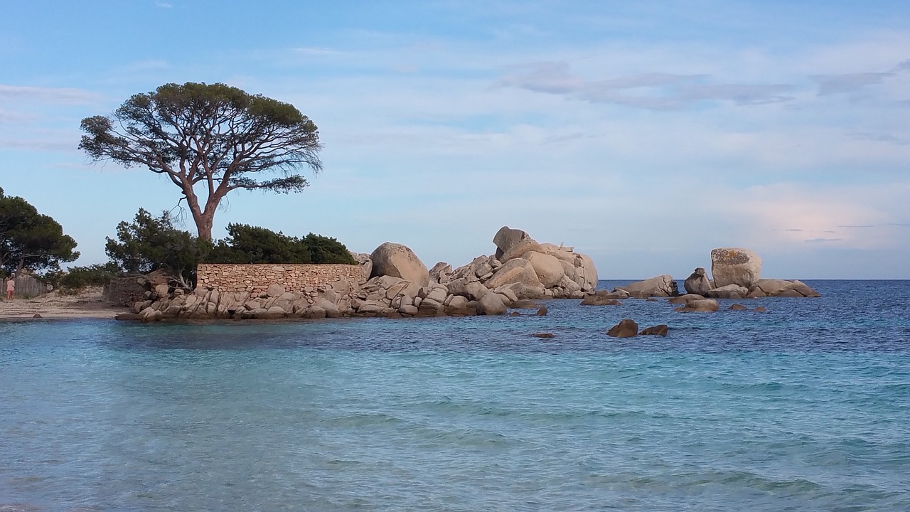 pine beach corsican free photo