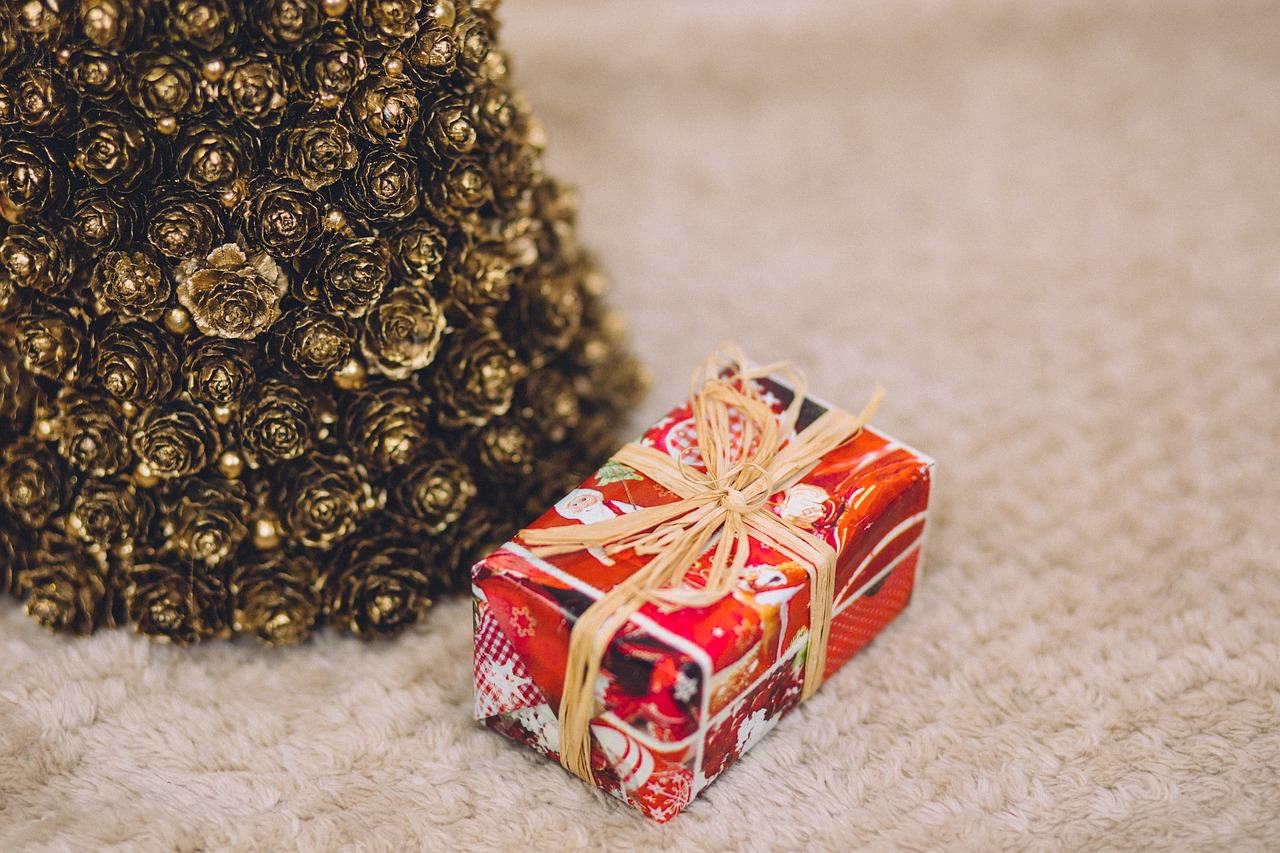 pine cone christmas free photo