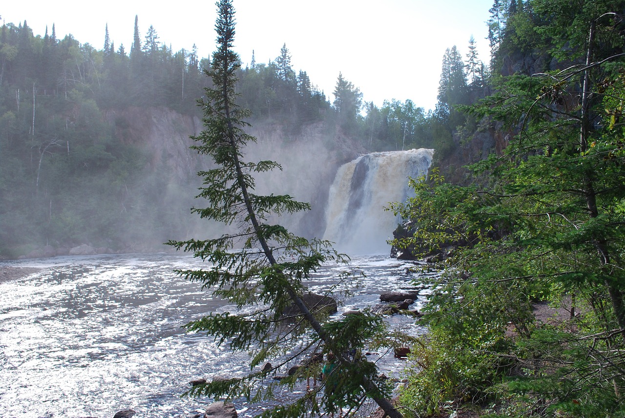 pine  tree  waterfall free photo