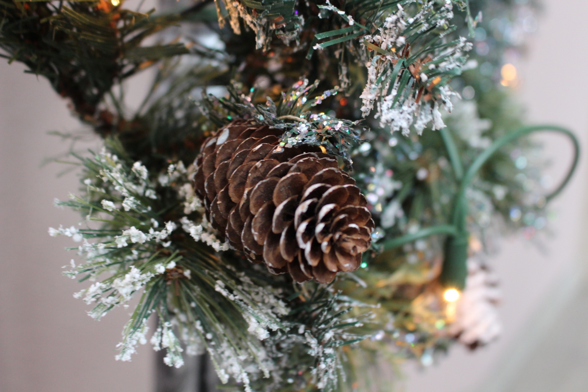 christmas pine cone wreath free photo