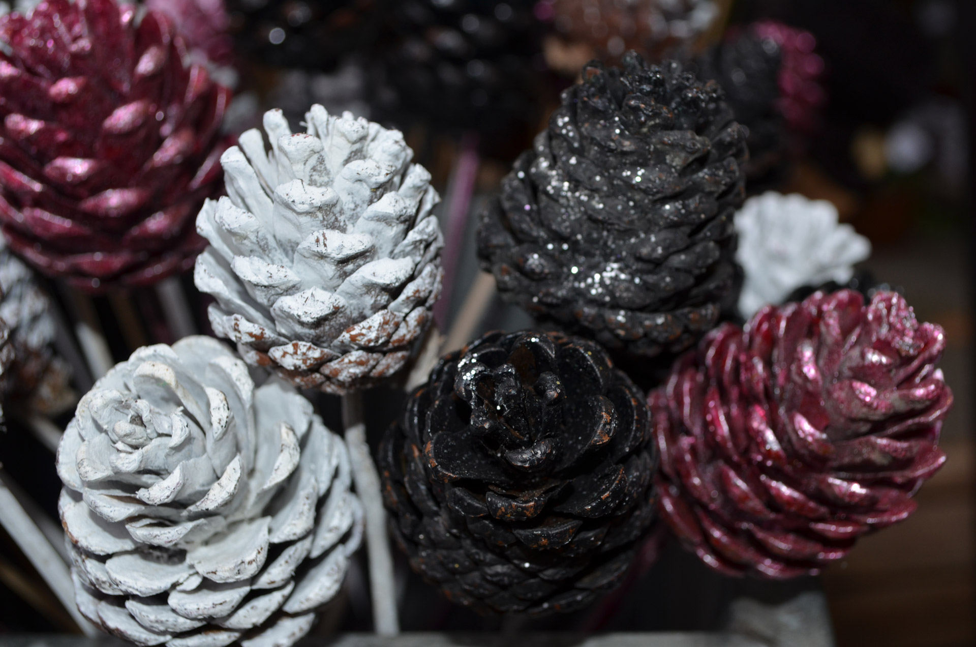 decorative pine cones free photo