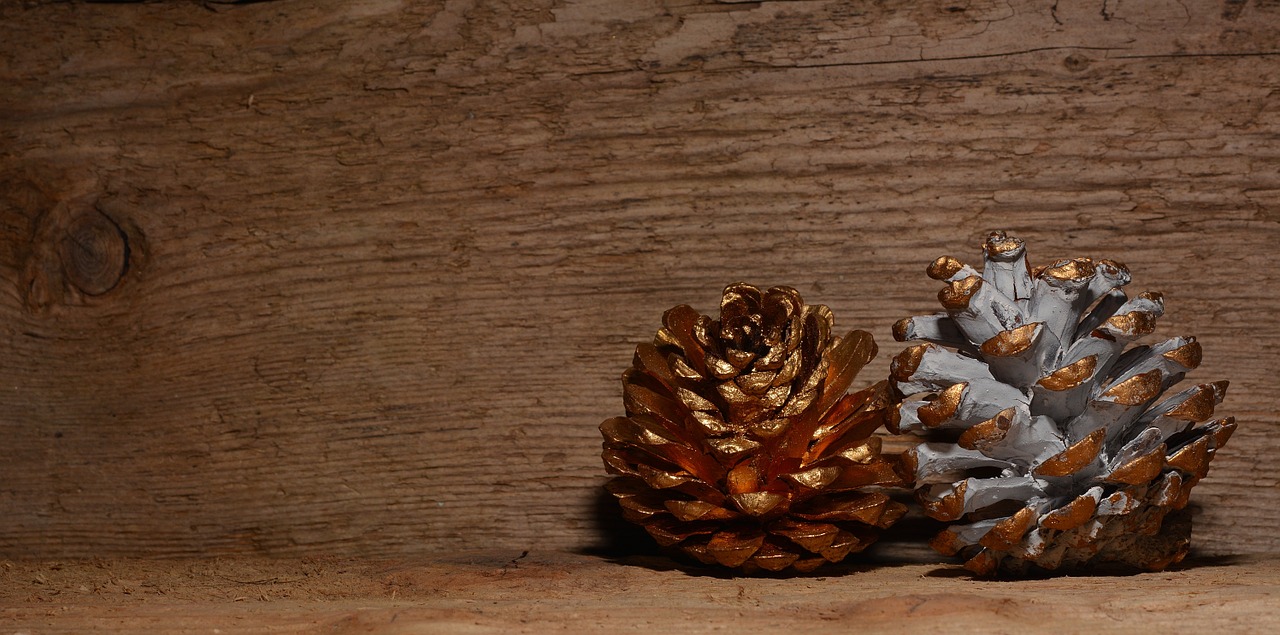 pine cones gold white free photo