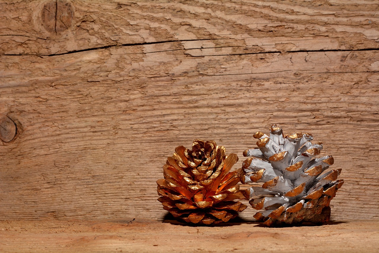 pine cones wood background free photo