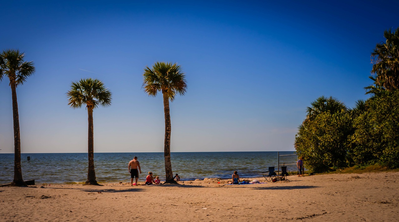 pine island florida beach free photo