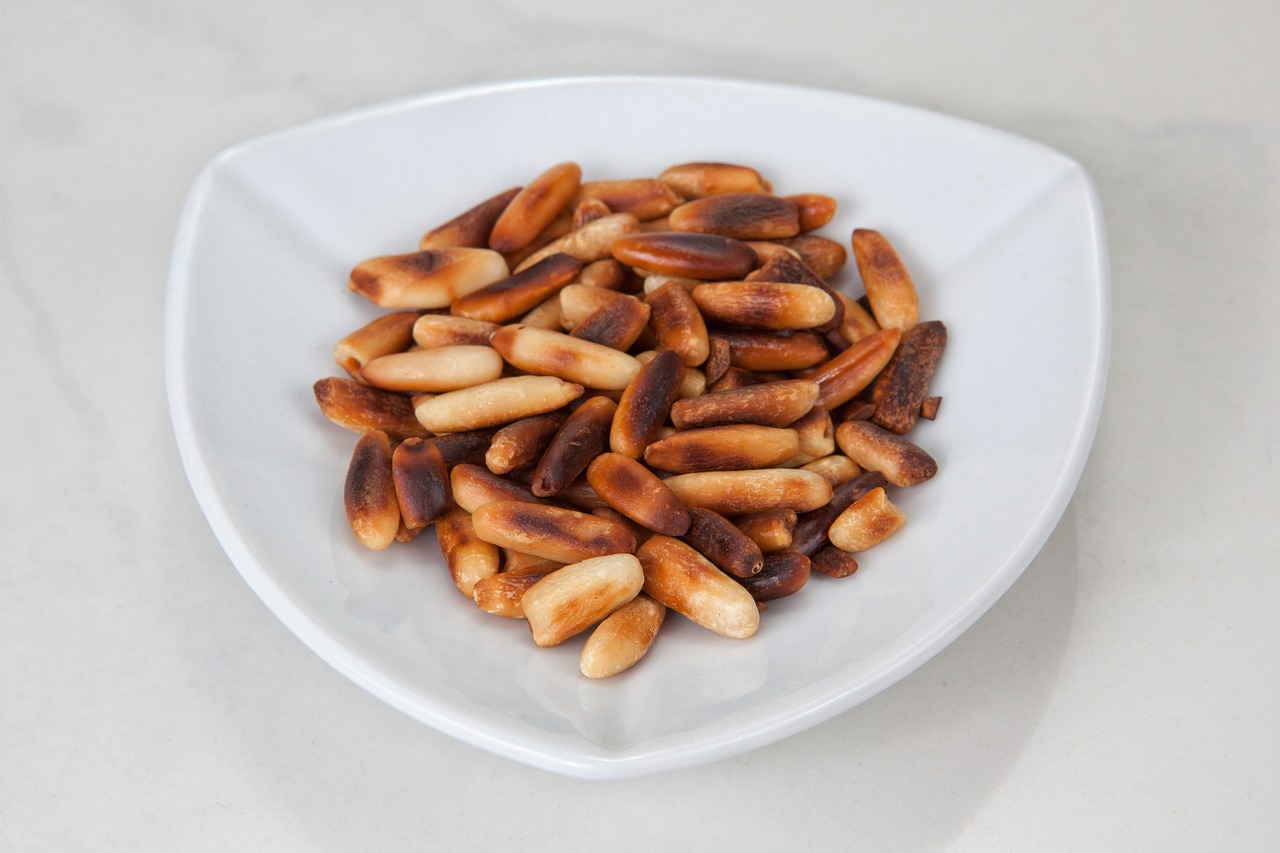 pine nuts roasted toasted pine nuts free photo