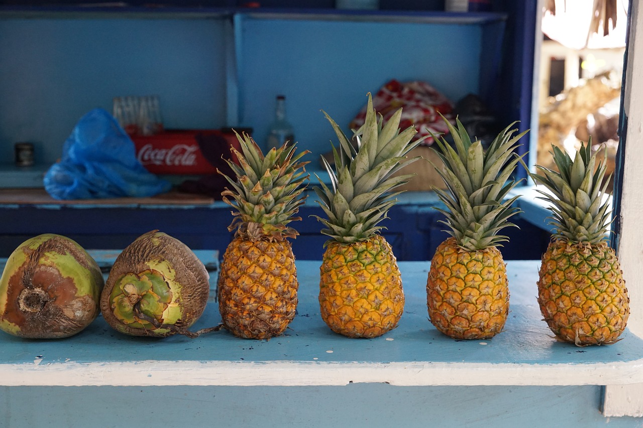 pineapple levantado island free photo