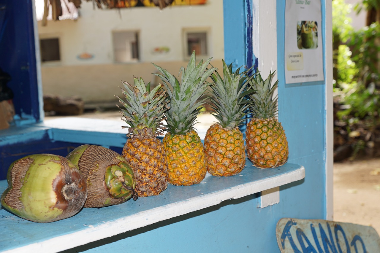 pineapple levantado island free photo