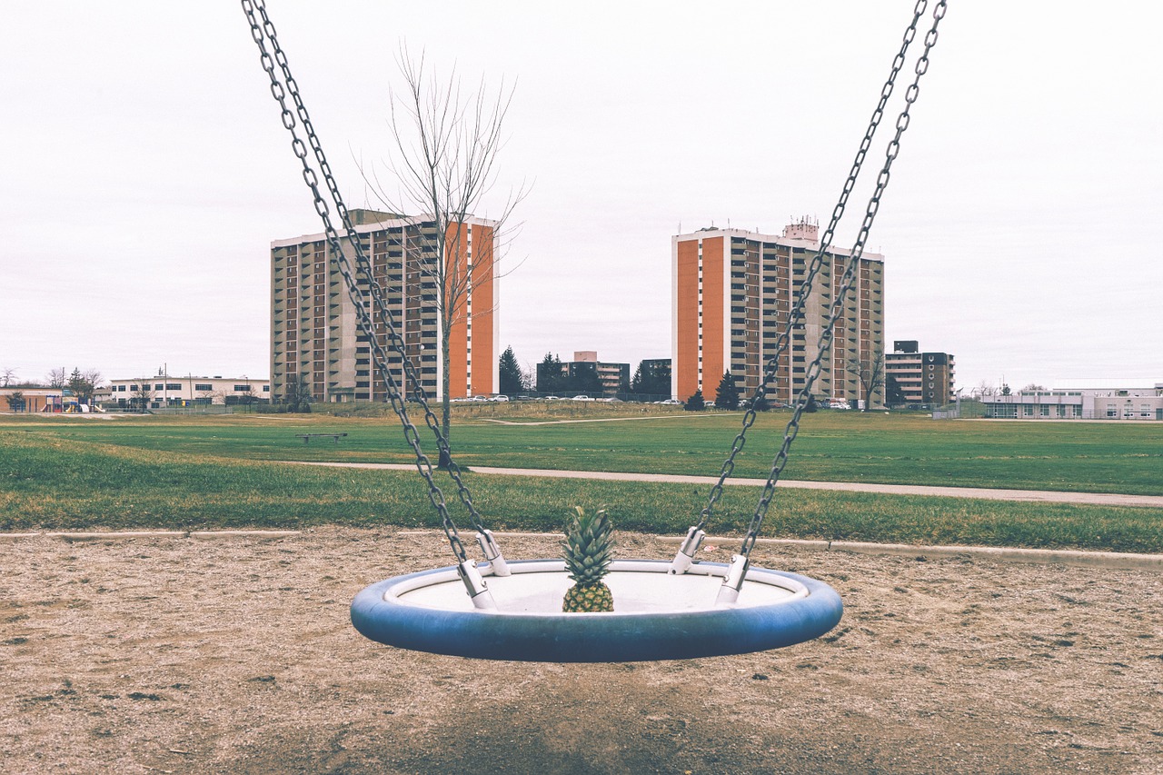 pineapple swing buildings free photo