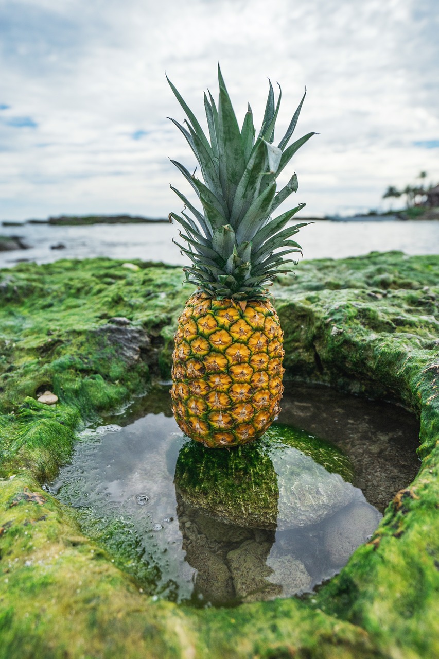 pineapple montage collage free photo