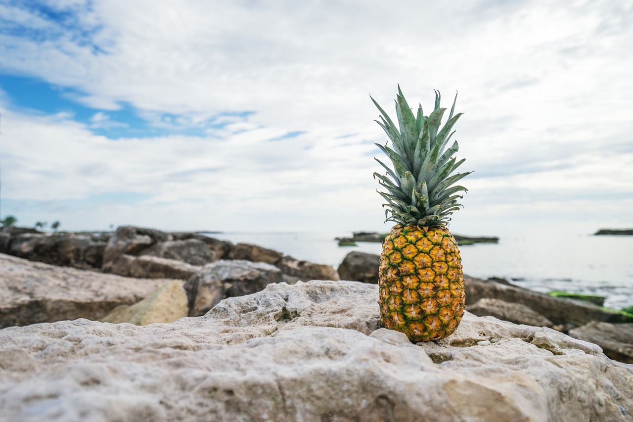 pineapple beach tropical free photo