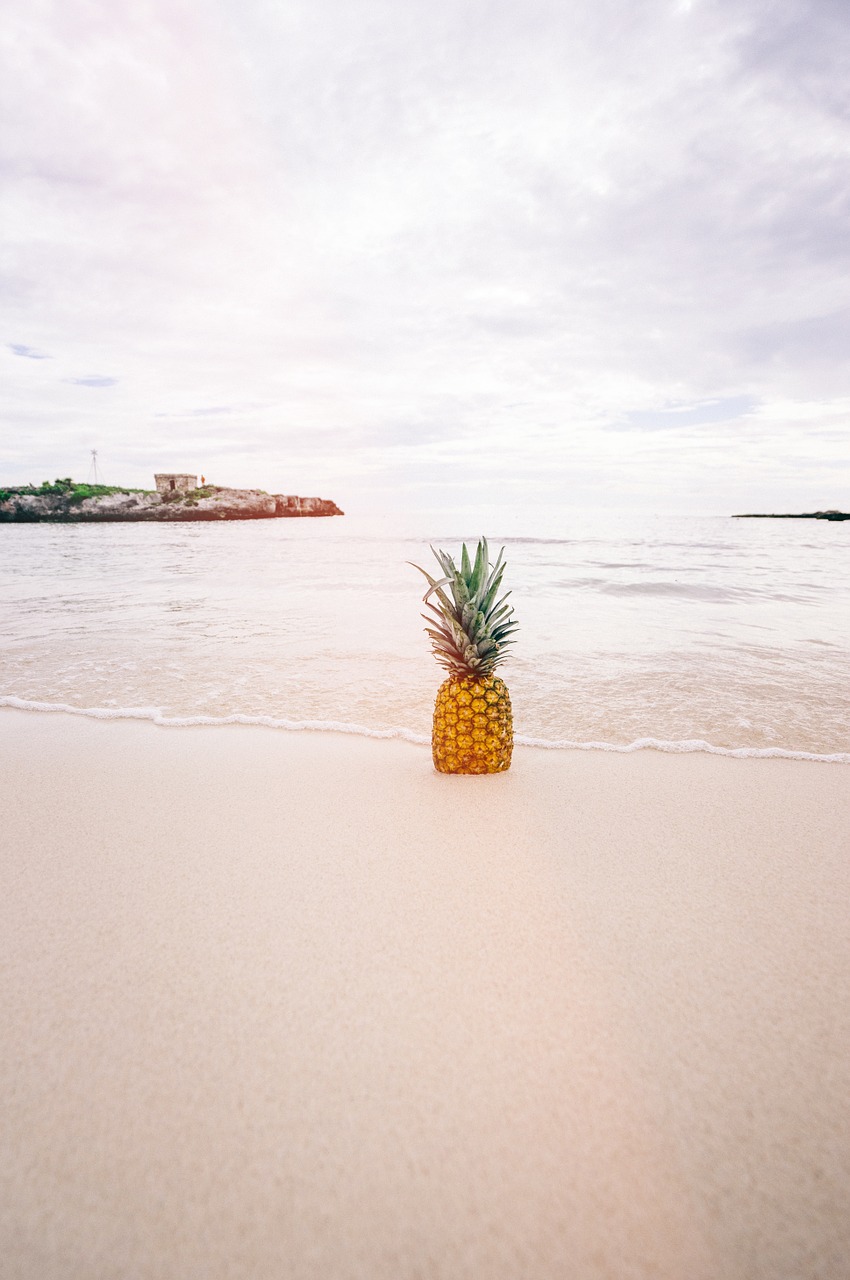 pineapple beach sand free photo