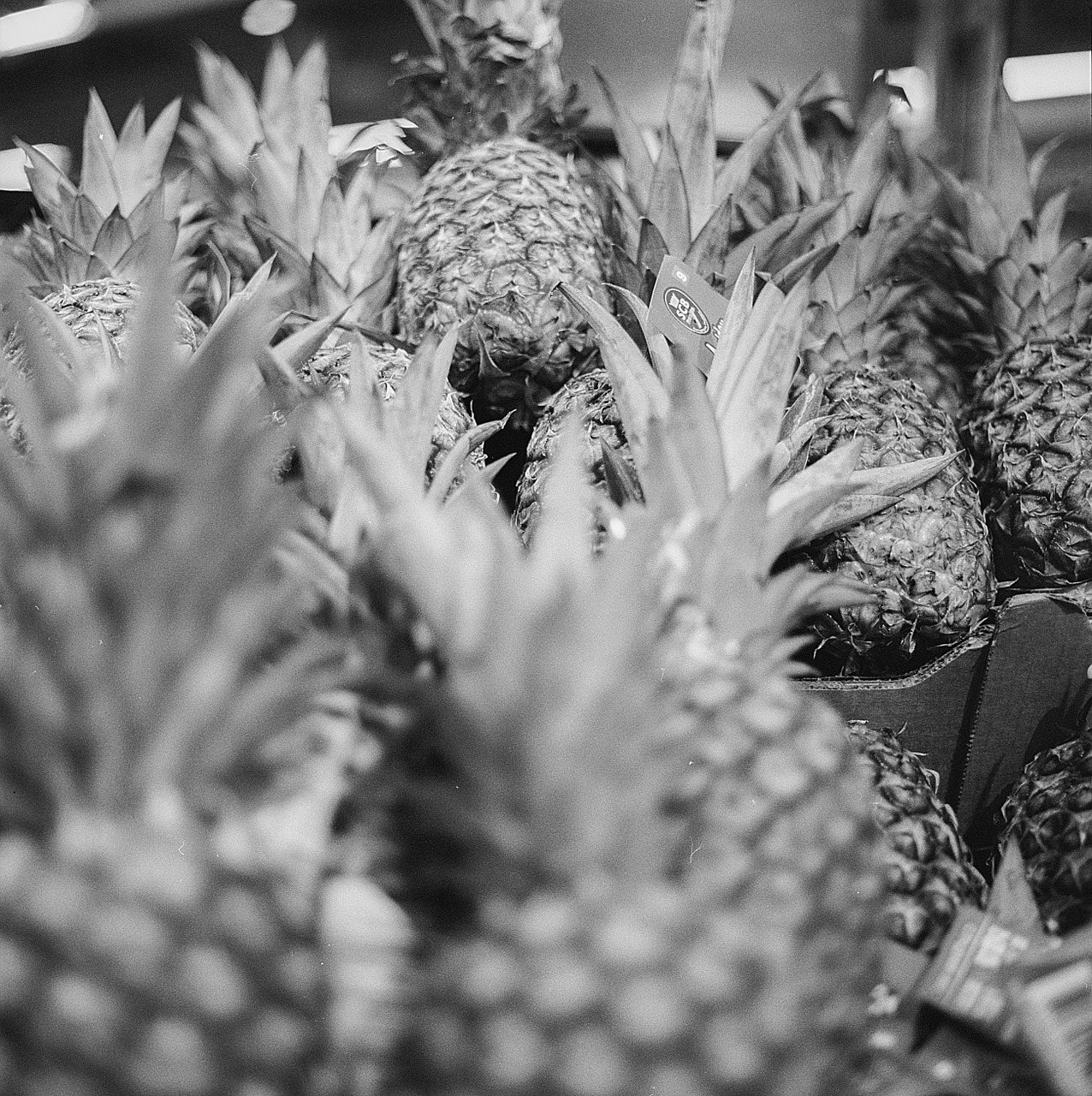pineapple market fruit free photo