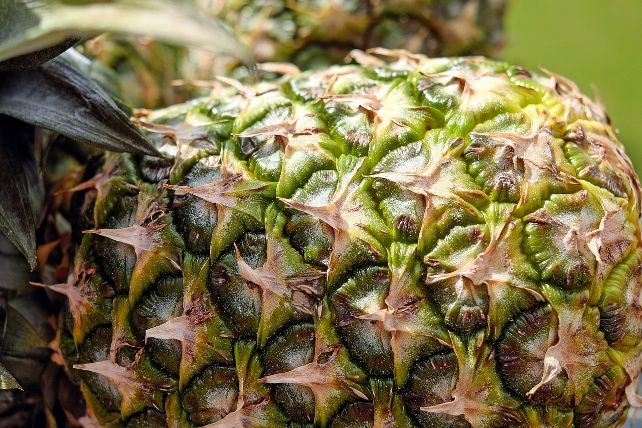 pineapple fruit texture free photo